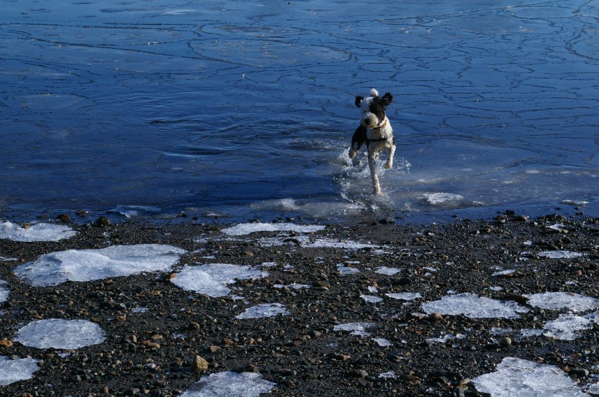 Freshwater Cove 010115-A