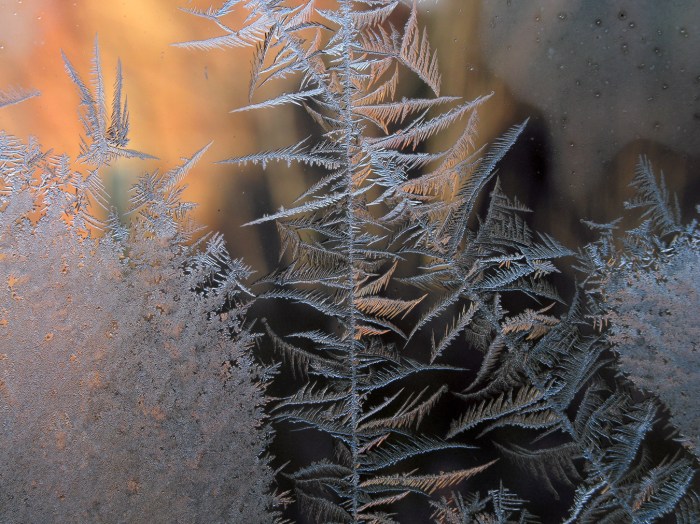 IceCrystal1-7-15_0315