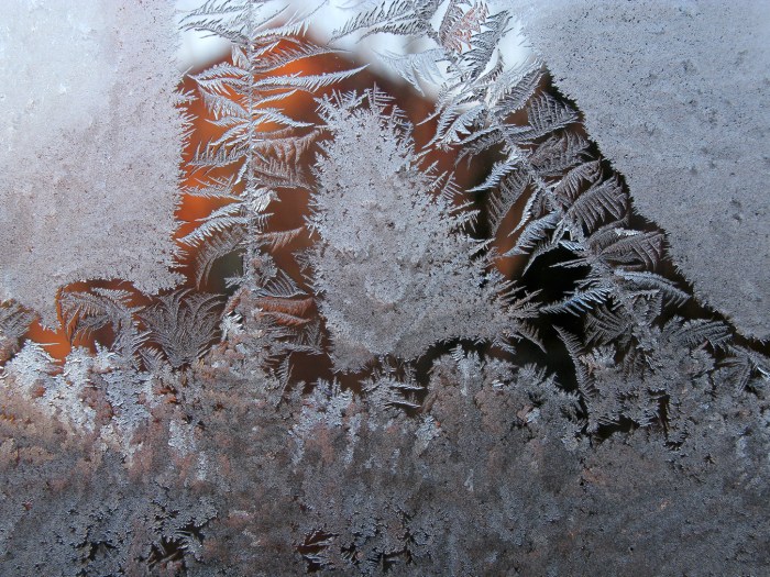 IceCrystals1-7-15_0240