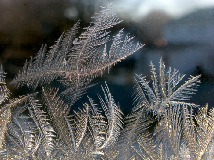 IceCrystals1-8-15_0346