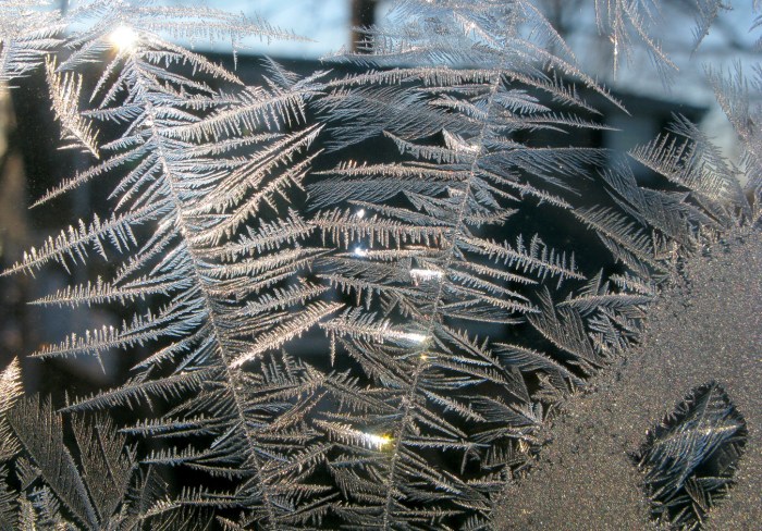 IceCrystals1-8-15_0354