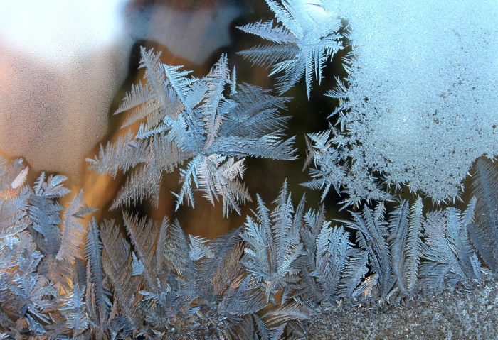 IceCrystals1-8-15_1983