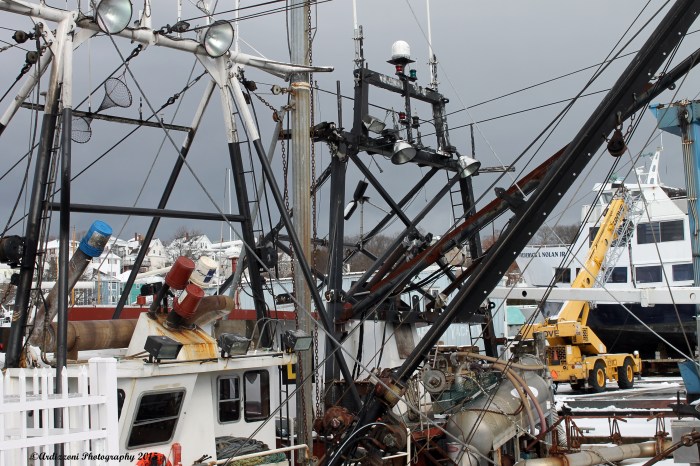 Janaury 25, 2015 busy