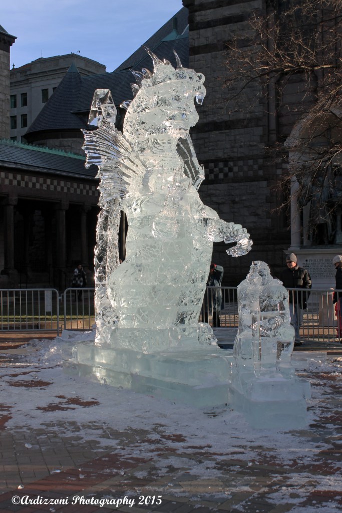 january 1, 2015 Dragon at Coply Square