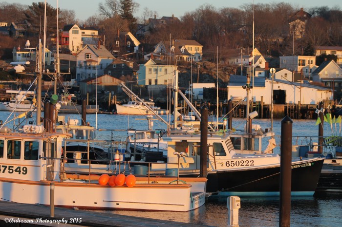 January 23, 2015 It is all about the light