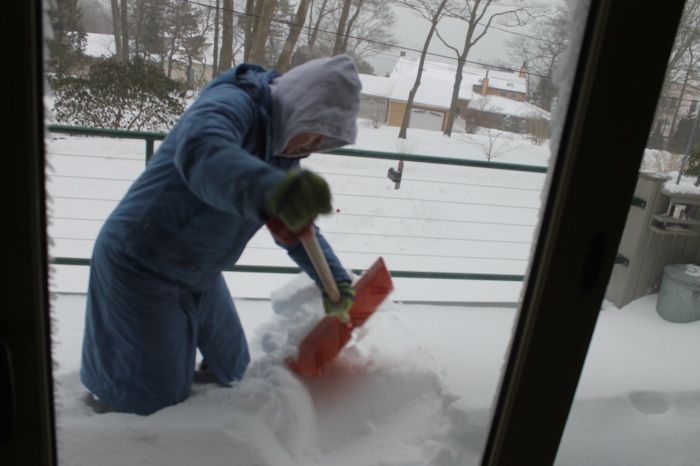 January 27, 2015 digging a path to the bird feeder