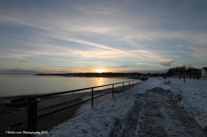 January 29, 2015 curve of the blvd.
