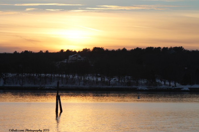 January 29, 2015 how is that for color