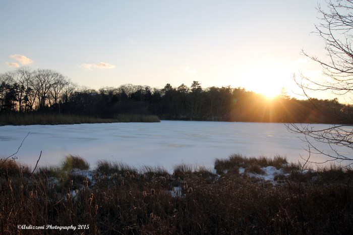 January 9, 2015 Clark Pond