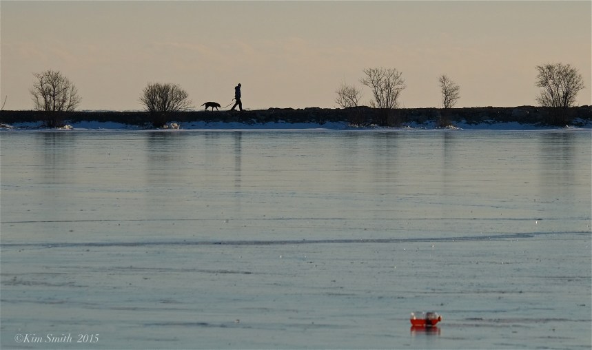 Niles Pond berm causeway Pollution ©Kim Smith 2015