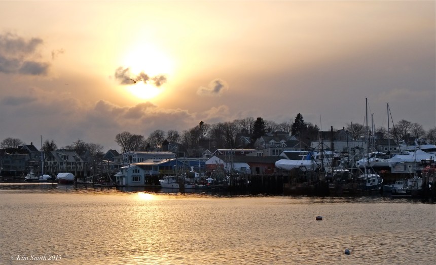Rocky Neck from Smiths Cove -2 ©Kim Smith 2015