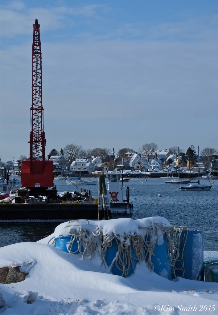 Smith's Cove Gloucester Blizzard 2015 ©Kim Smith 2015