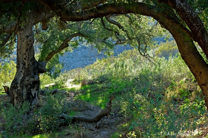 Solstice Canyon Santa Monica ©kim Smith 2015