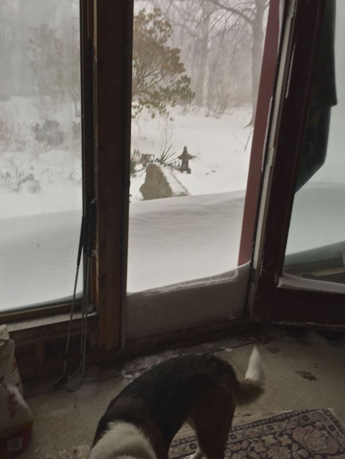 No thanks, I'll take a dump in the kitchen.