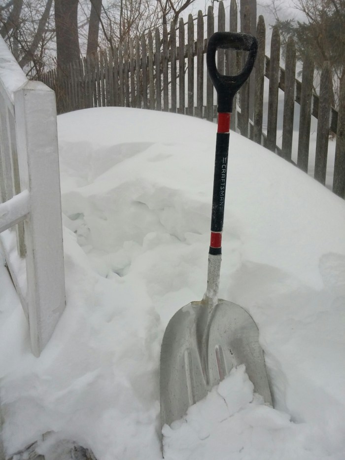 20150127_074017_HDR.jpg image