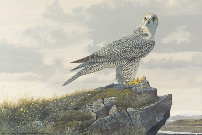 10380667_834796323247077_3224499381779303911_o