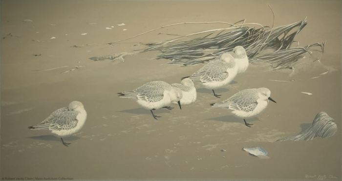 10649022_834809416579101_2055875141576909920_o