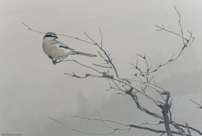 10974732_834815053245204_8680731081107286118_o