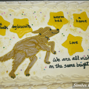 View album View album