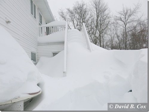 2015Feb Snow Again G15 007