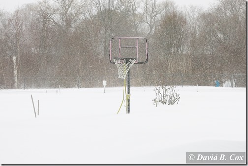 2015Feb Snow Again G15 008