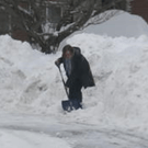 View album View album