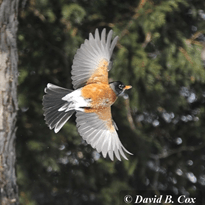 View album View album