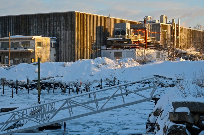 Americold ©Kim Smith 2015