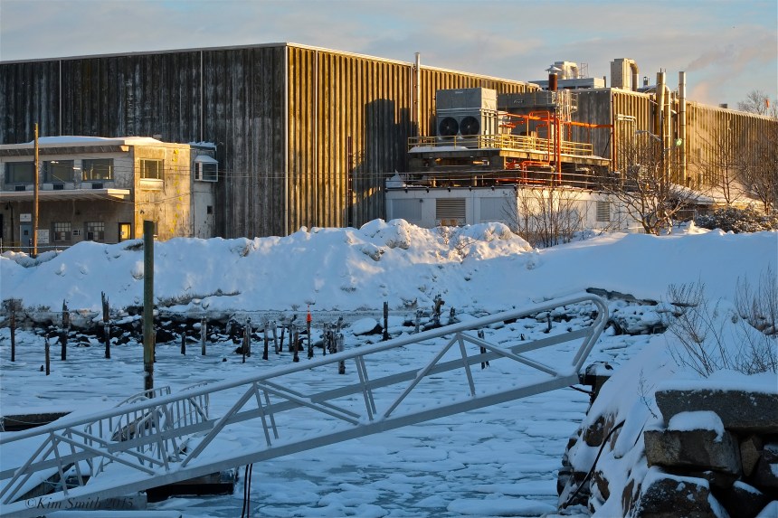 Americold ©Kim Smith 2015