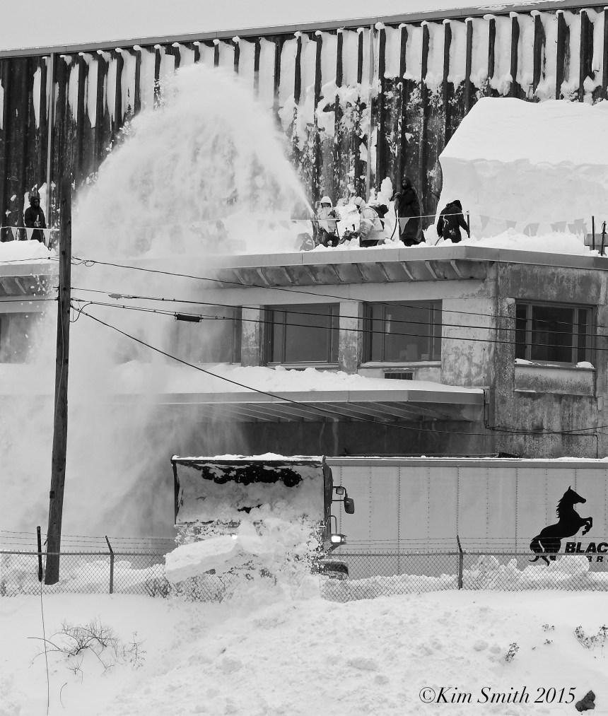 Americold East Gloucester ©Kim Smith 2015JPG