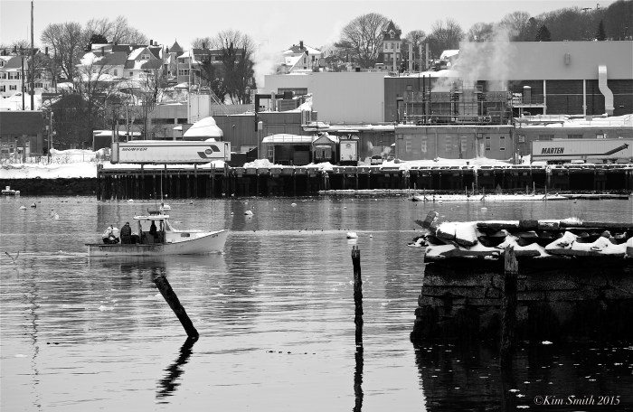 Ayn Gloucester Lobster Boat ©Kim Smith 2015