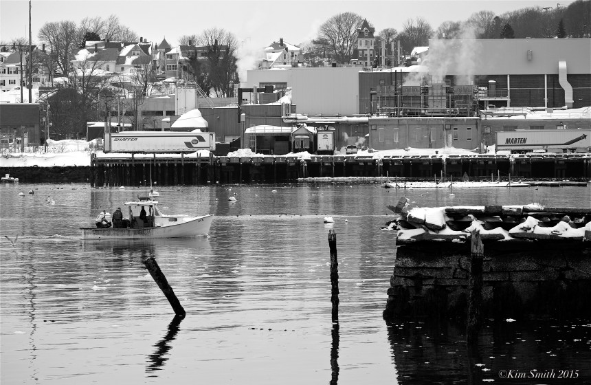 Ayn Gloucester Lobster Boat ©Kim Smith 2015