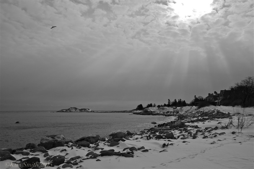 Brace Cove brace rock ©kim Smith 2015JPG