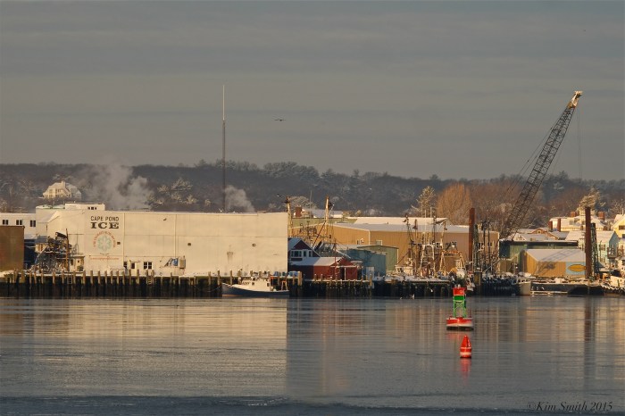 Cape Pond Ice winter Gloucester Harbor ©Kim Smith 2015
