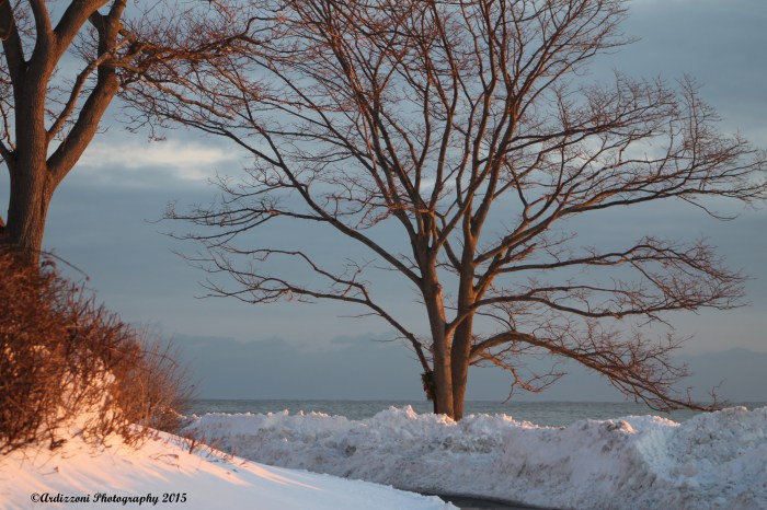 February 10, 2015 snow, sun, winter