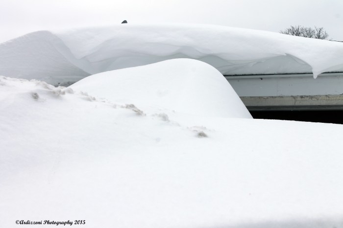 February 11, 2015 where is the cupboard