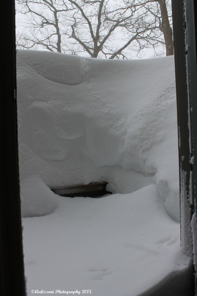 February 15, 2015 front door