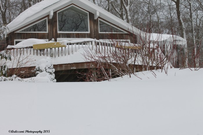 February 15, 2015 Swiss chalet on Strawberry Cove