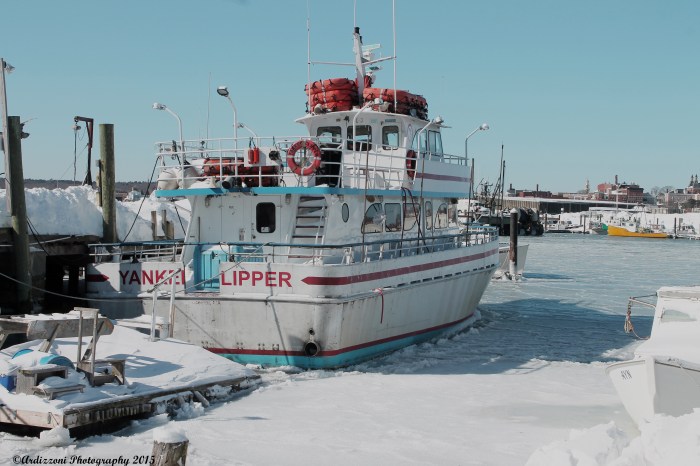 February 16, 2015 Whale watching