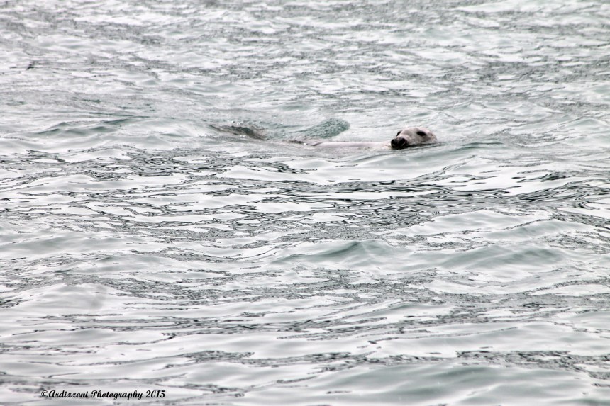 February 19, 2015 look who pop his head to say hi