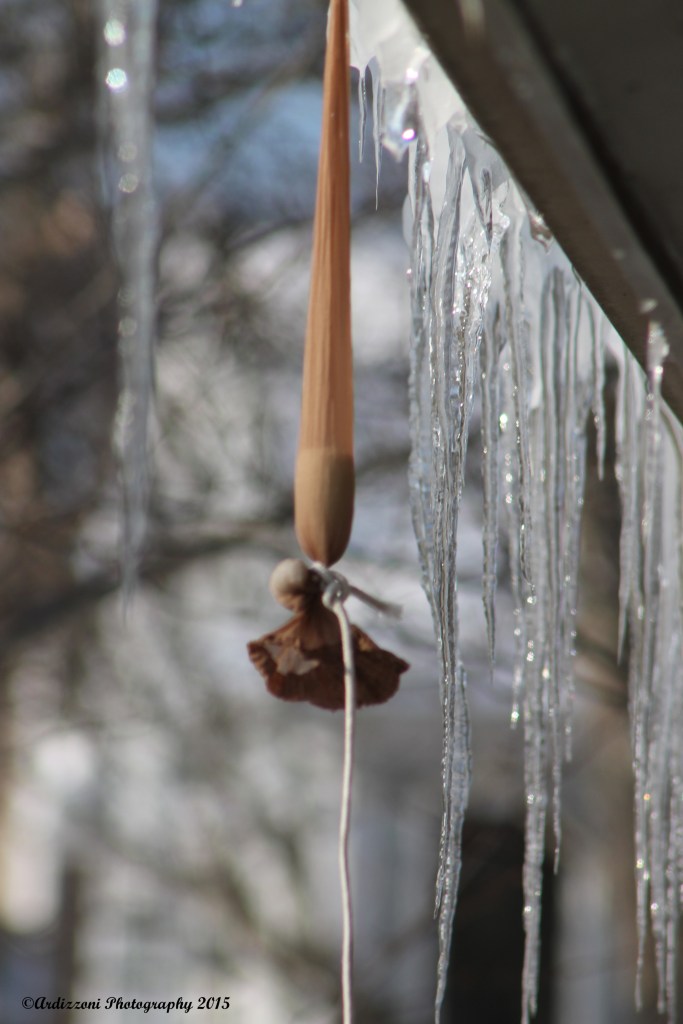 February 20, 2015 Does anyone know what my handsome husband is doing