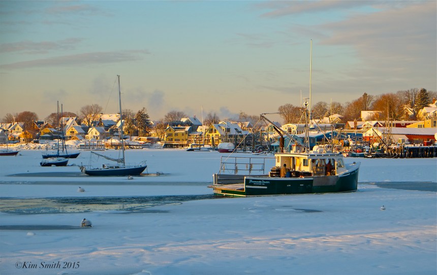 Freemantle Doctor Fishing Boat Rockport ©Kim Smith 2015