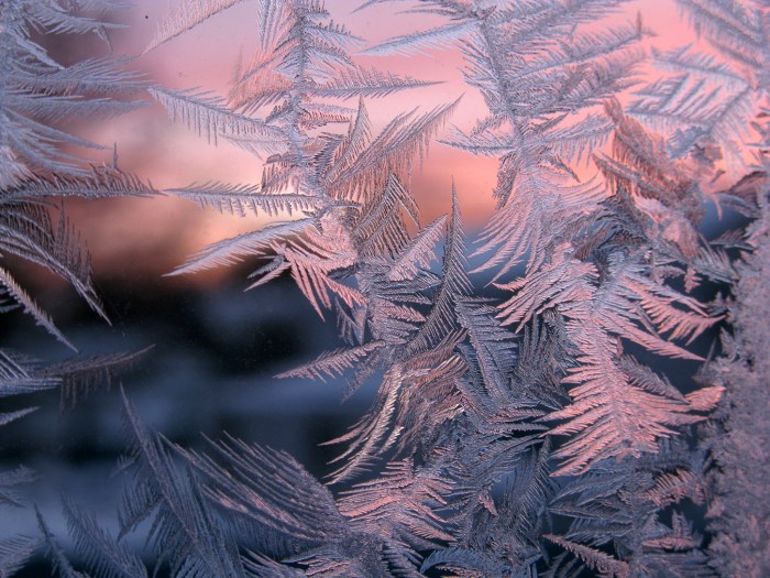 icecrystal2-14-15_0282