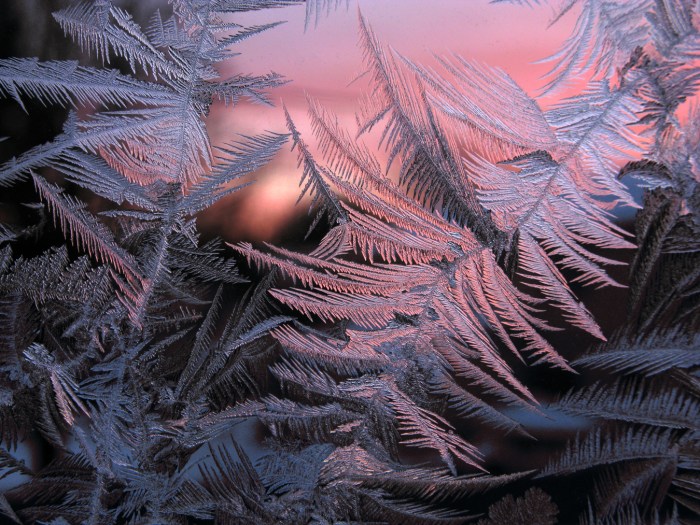 IceCrystalSunrise_0285