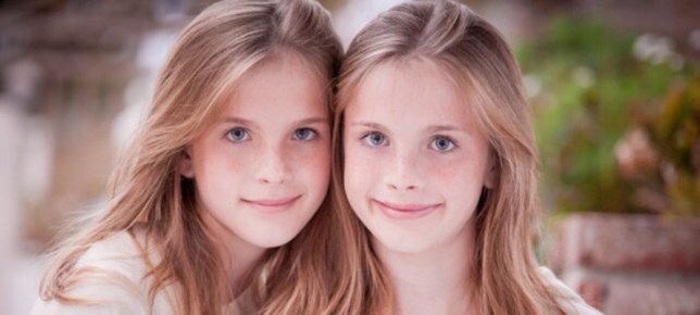 Photo Courtesy of Reddit