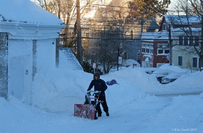 Joey Marino ©Kim Smith 2015