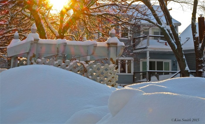 Pirate's Lane Arbor ©Kim Smith 2015