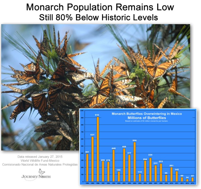 PopulationEstimate_graphic
