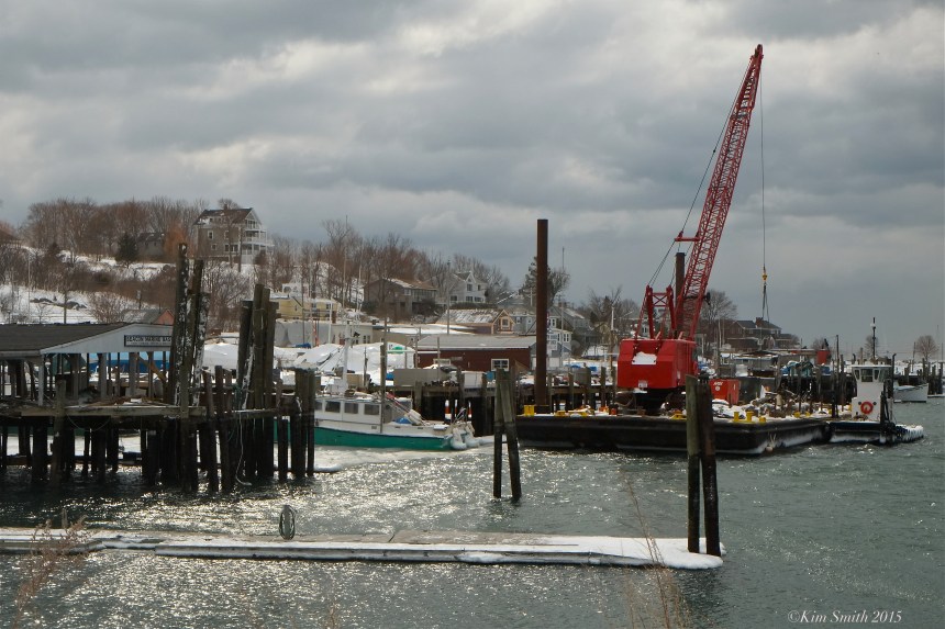 Smith's Cove ©Kim Smioth 2015