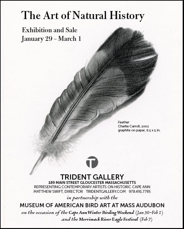 Trident-Gallery-ANH-2015-600px